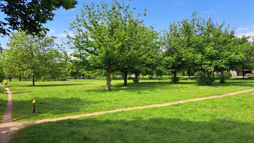 Dorpspark Hees (mei 2024)