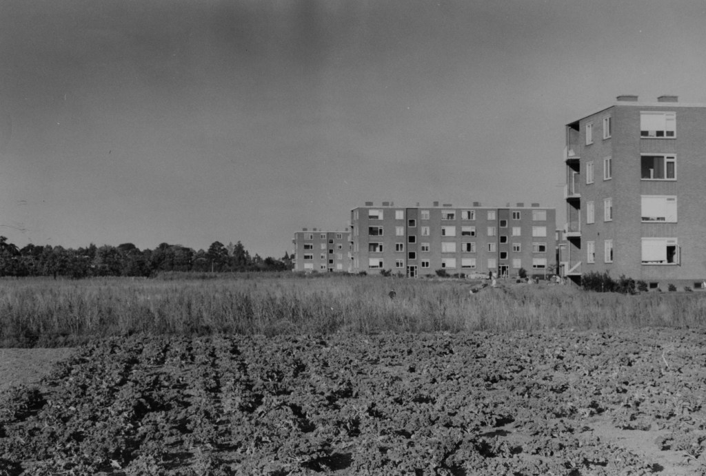 Omgeving van 'Park Hees' ('Planetenpark'), voor de aanleg, eerste helft jaren zestig, gezien vanaf de Planetenstraat, met de etagewoningen uit 1958/1960 aan de Venusstraat, de Plutostraat en de Neptunusstraat, gebouwd in opdracht van Bouwmaatschappij Penders en Gerritsen NV naar ontwerp van de architecten H. Reuser en R.G. Rodenburg, 9/1964 (Gemeentepolitie Nijmegen via F88642 RAN)