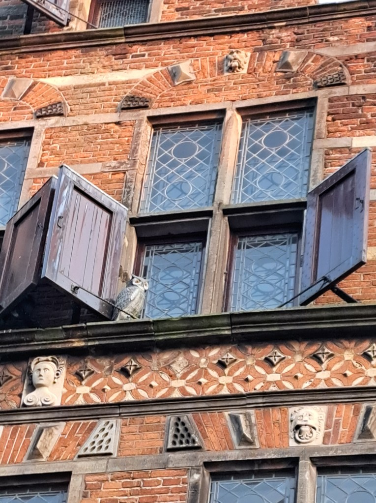 De achterkant van de Kerkboog heeft nog een aantal mooie kopjes. En let op de stenen oehoe voor het raam. Deze staat er sinds 2019 om de duiven af te schrikken (november 2024)