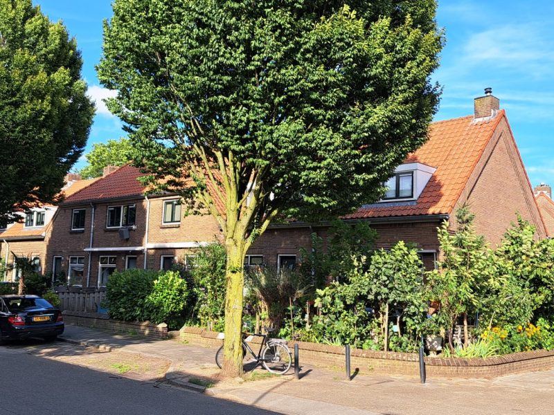 Waterstraat: Romeinse vondsten, arbeiderswoningen en (historische)&nbsp;voorzieningen