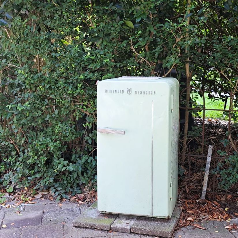 Minibieb Voorstadslaan  (augustus 2024)