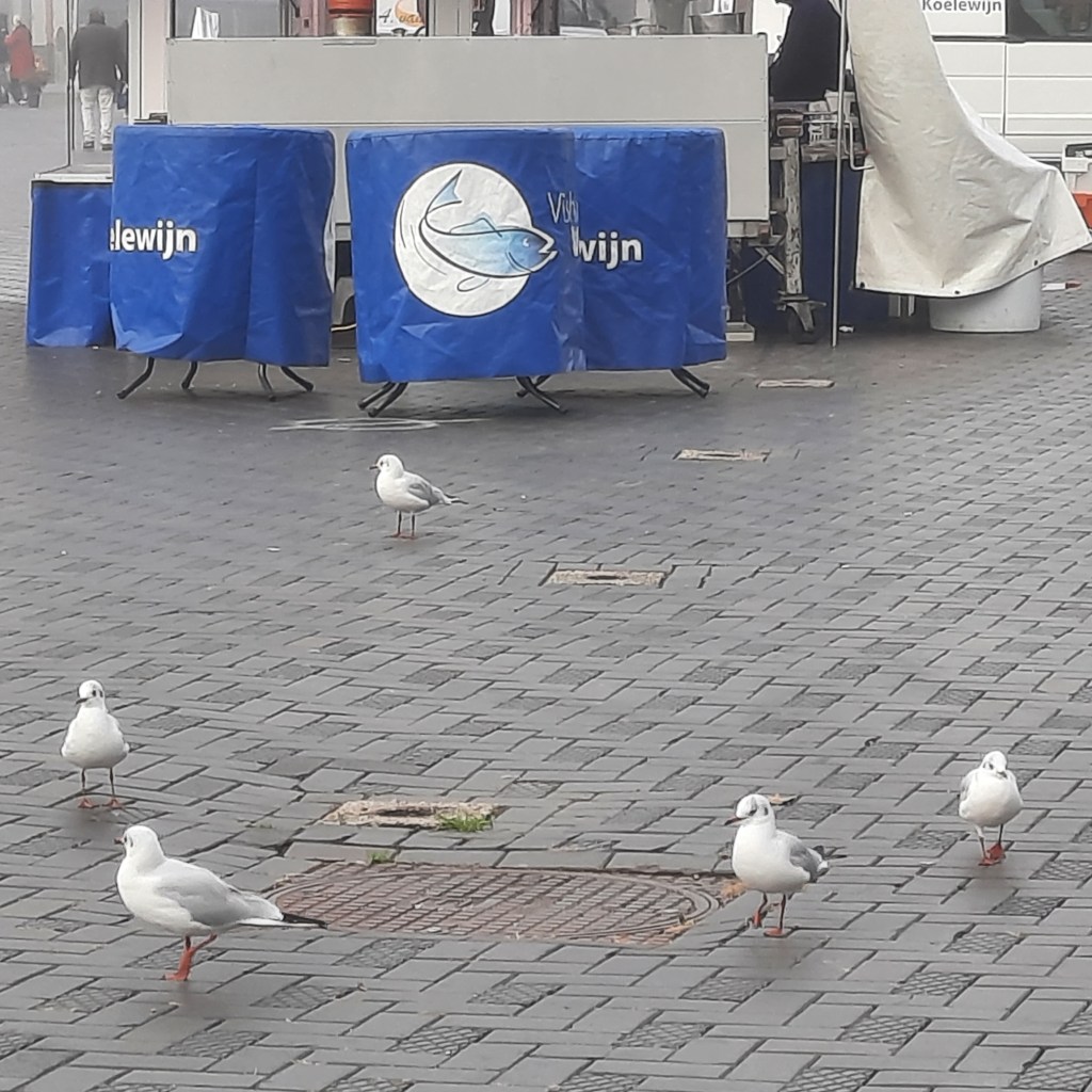 De vaste klanten van de viskraam (oktober 2023)