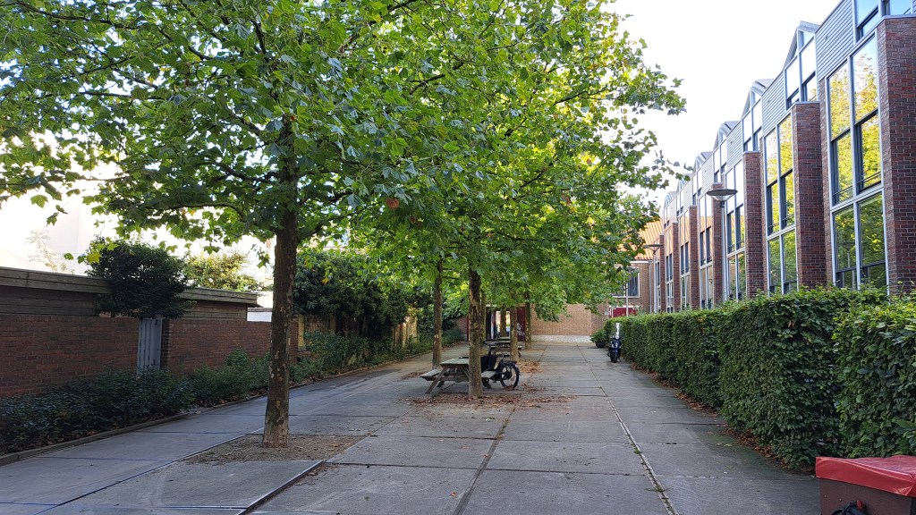 Dobbelman terrein (oktober 2024)