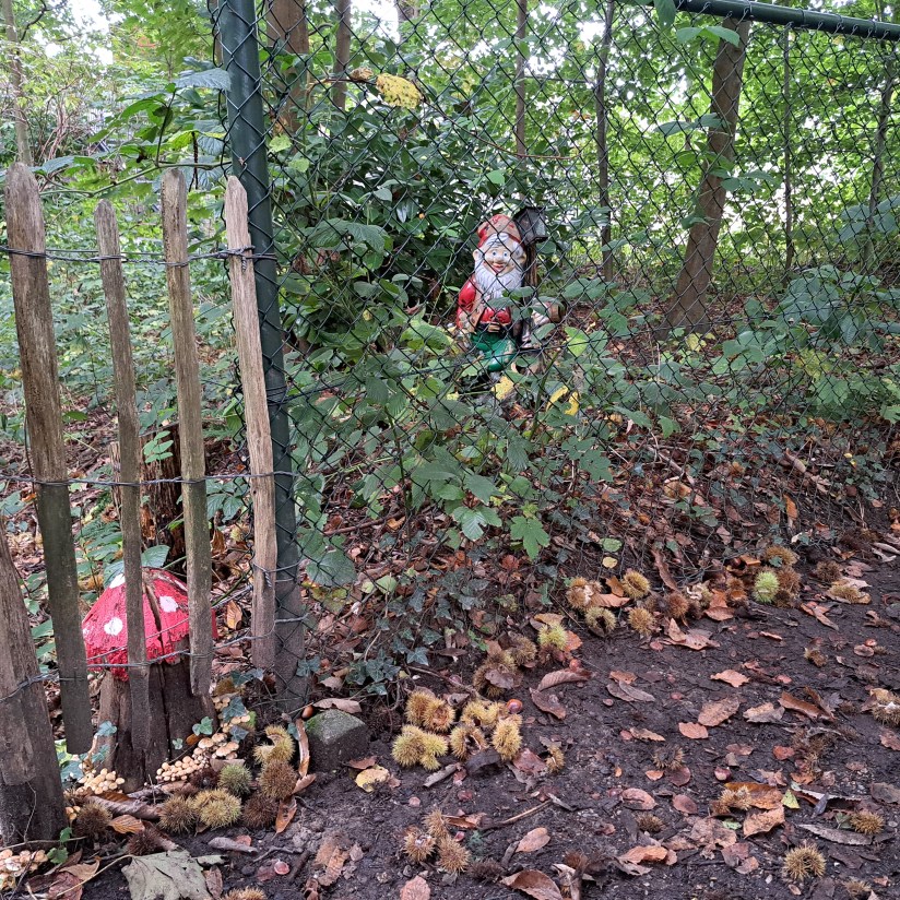 Kabouter op de Kabouterroute (oktober 2024)