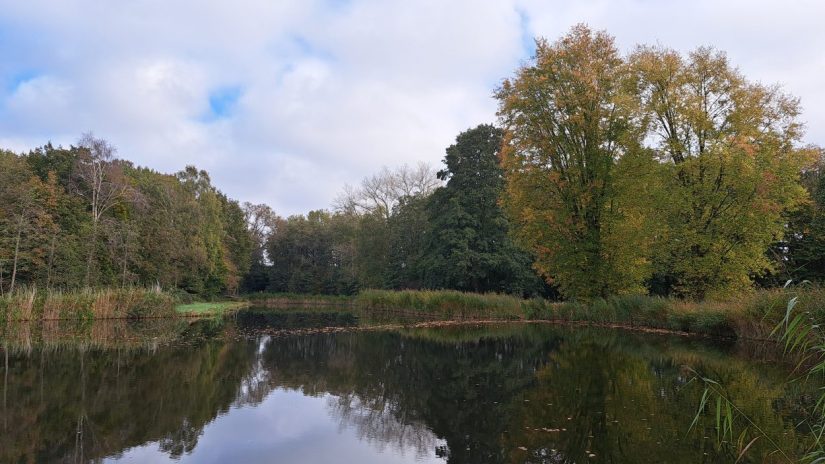 Groen Lindenholt (oktober 2024)