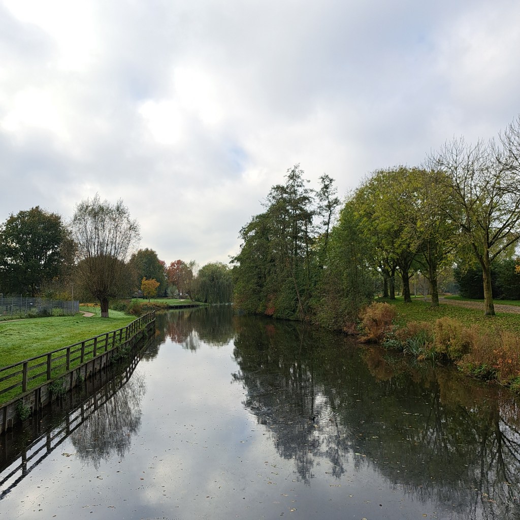 Lindenholt (oktober 2024)