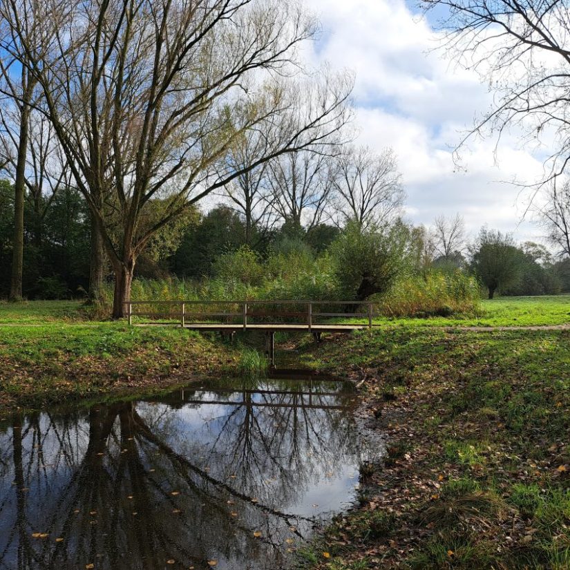 Groen Lindenholt (oktober 2024)