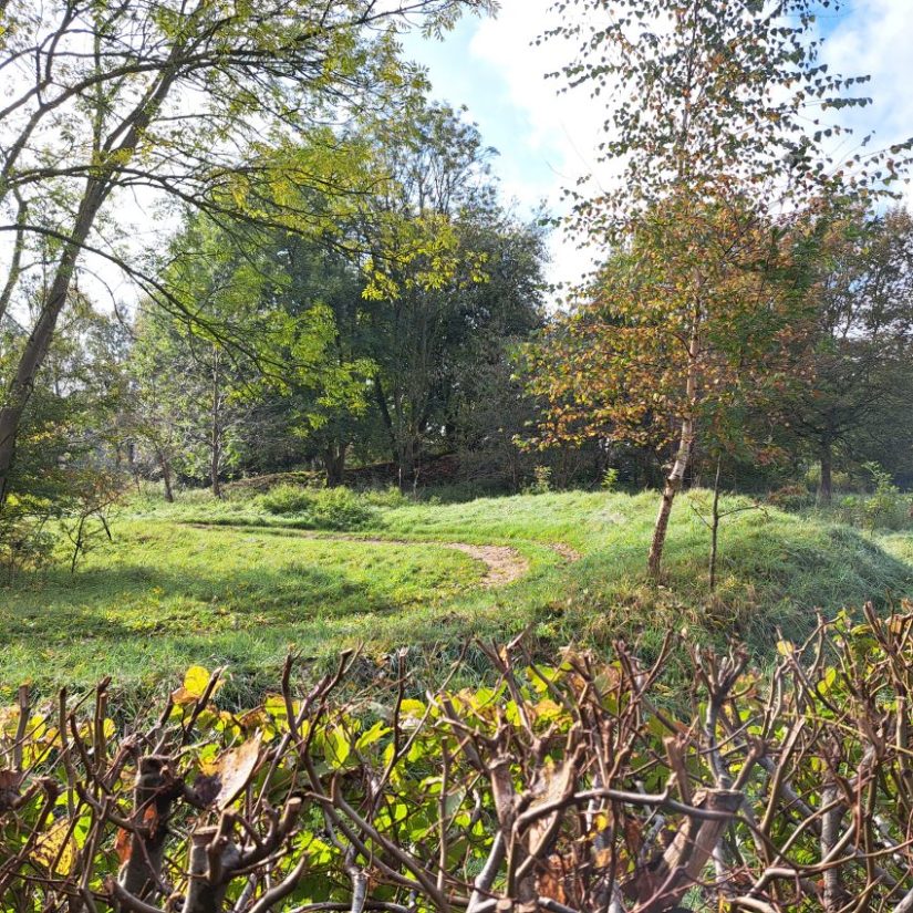 Groen Lindenholt (oktober 2024)