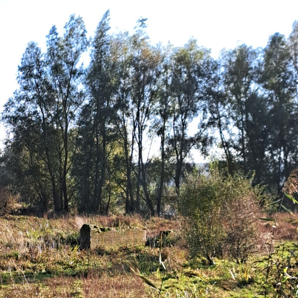 Restant bij de Vlietberg; het is mij onbekend of het onderdeel van een van de gebouwen van de steenfabriek was of niet (oktober 2024)