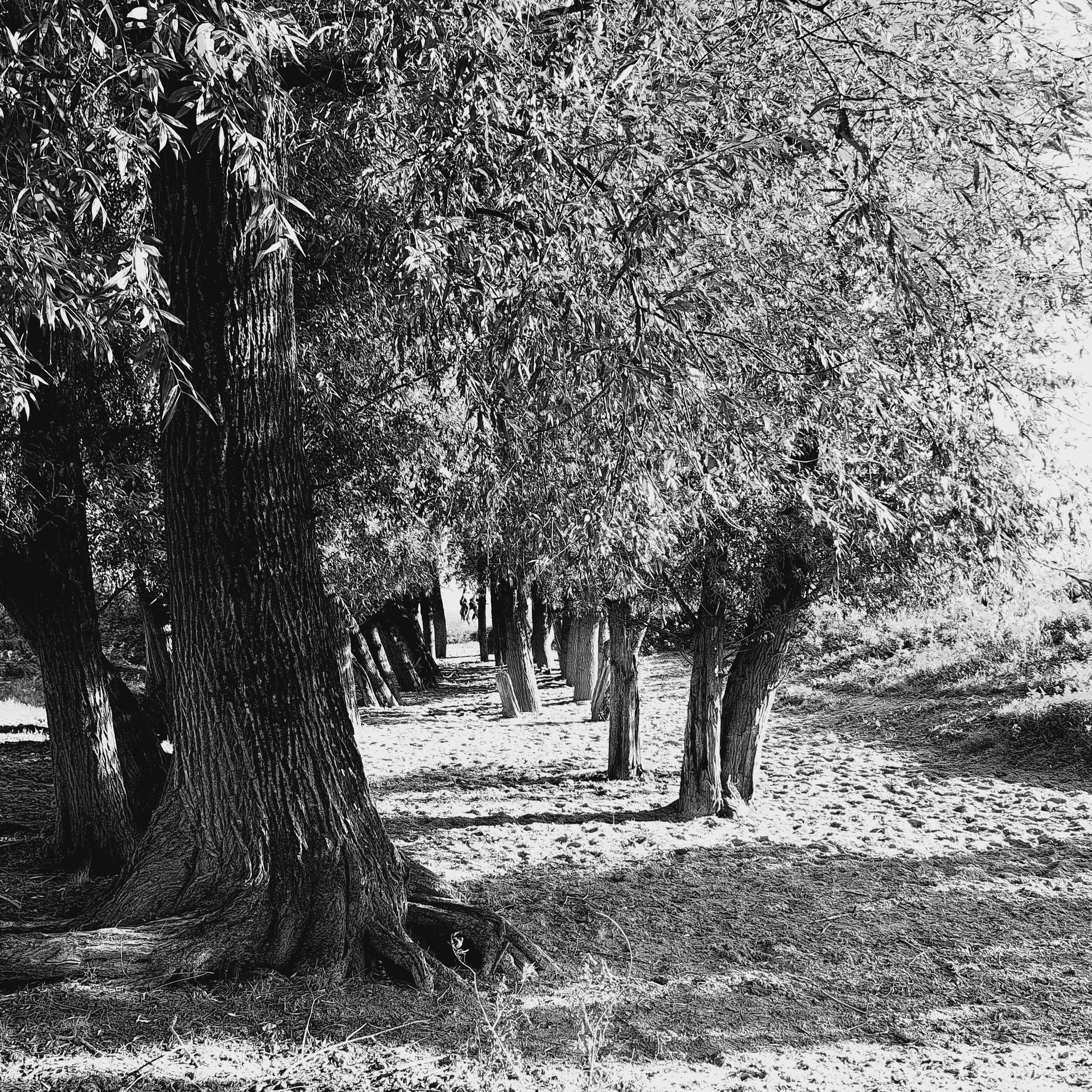 Stadswaard (oktober 2024)