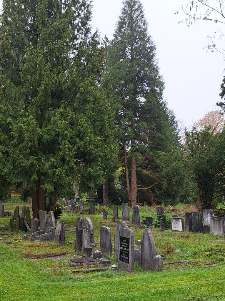 Begraafplaats Graafseweg (november 2024)