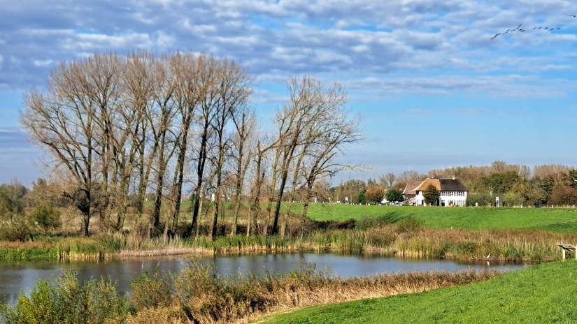 De Grote Kat en omgeving (oktober 2024)