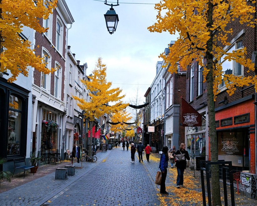 Lange Hezelstraat in de herfst (november 2025)