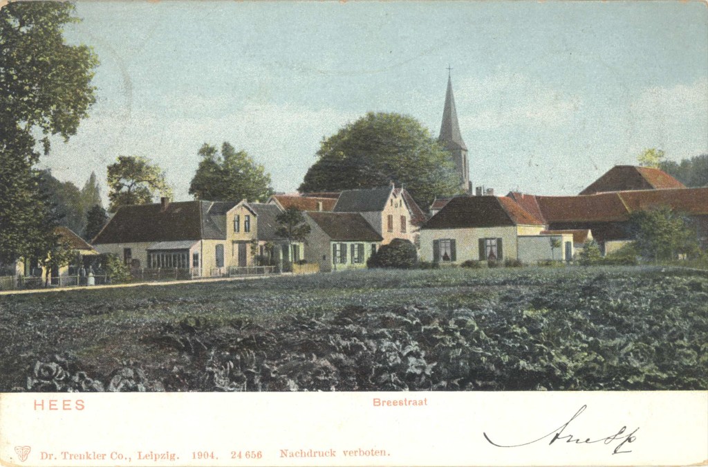 Hees in het groen: Een aantal woningen en de toren van de Petruskerk (Uitg. Dr. Trenkler en Co via F12909 RAN)