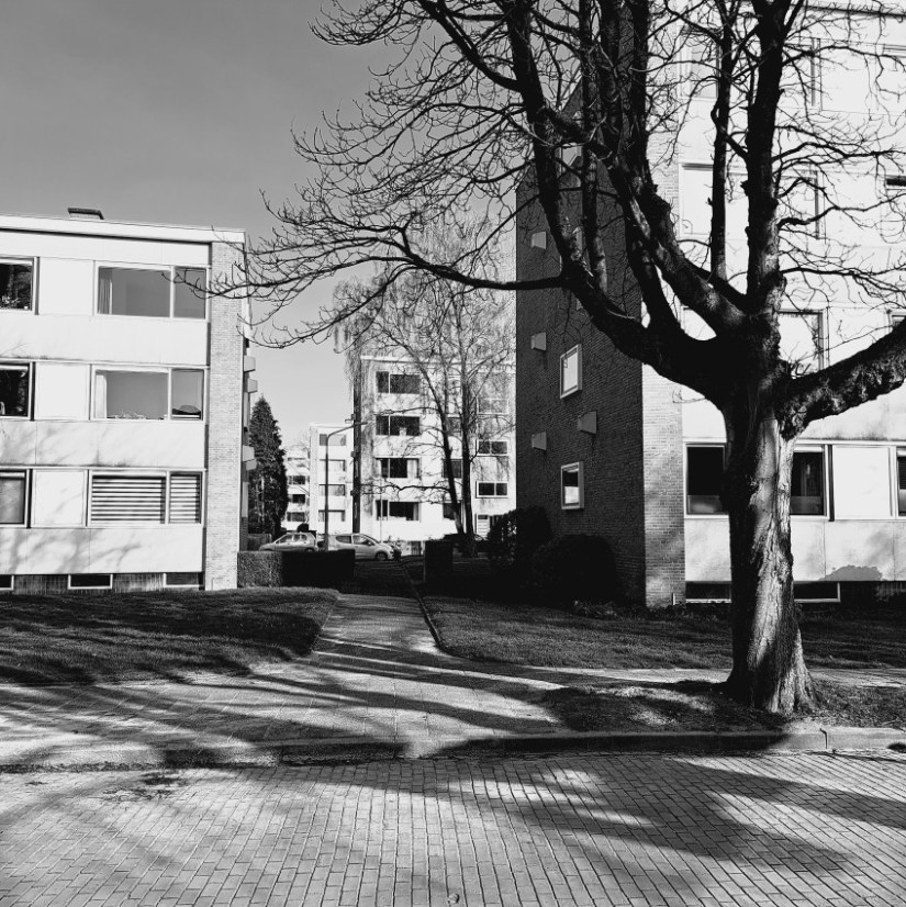 Professor Mulderstraat (maart 2026)