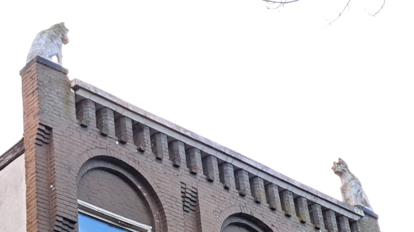 Sumatraplein 27 huis met de tijgers (december 2024)