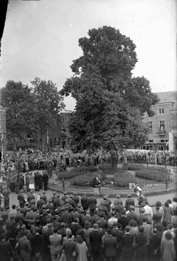 Onthulling Kroontjes Wilhelminaboom; de kroontjes zijn vervaardigd door de leerlingen van de Nijmeegse ambachtsschool, Hertogplein, 7/1948 (GN4783 RAN)