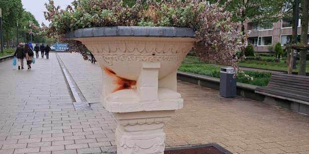 Bloemenschaal Straalmanfonds Schaeck Mathonsingel april 2025