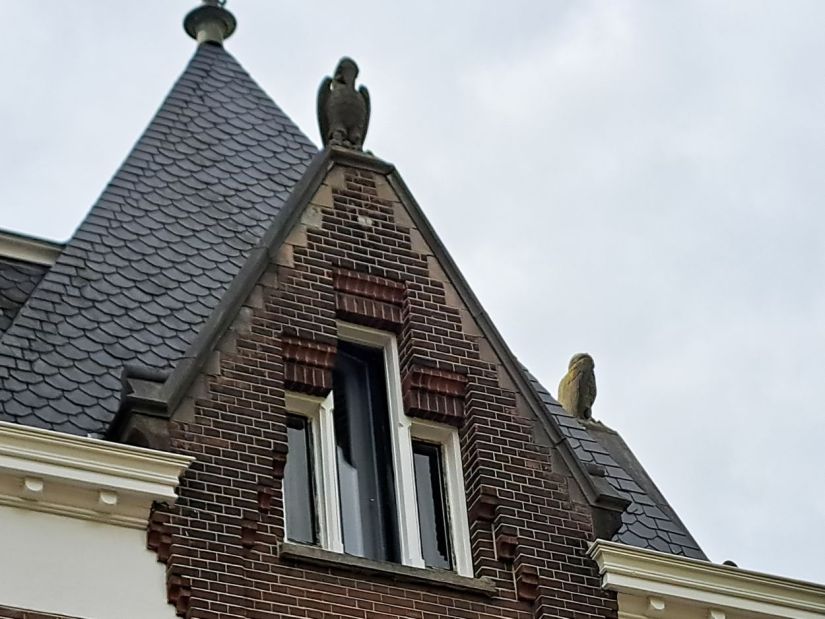 Hoek Kronenburgersingel en Stieltjesstraat: gebeeldhouwde vogels (april 2025)