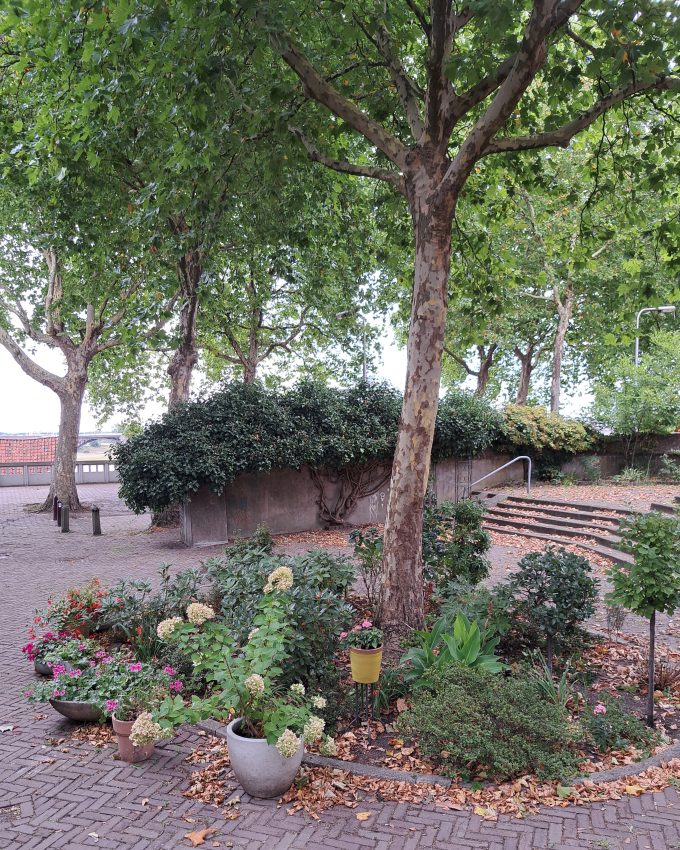 Bij Klokkenberg (augustus 2025)