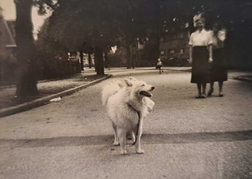 1956: Mevr. Krijff-Joosten (links) en Mevr Bussemaker-Joosten (rechts); zussen van elkaar (ter beschikking gesteld door J. Krijff; Copyright: J. Krijff)