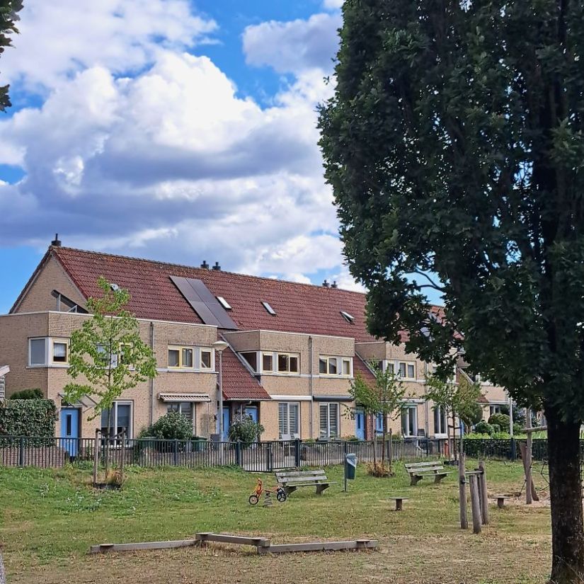 Het Rode Dorp (augustus 2026)