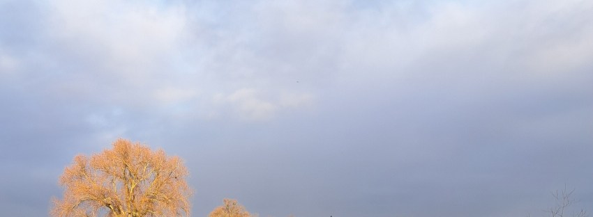 Ooijpolder in winterzon (december 2025)