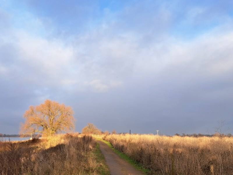 De Geschiedenis en Natuur van de Stadswaard en&nbsp;Ooijpolder
