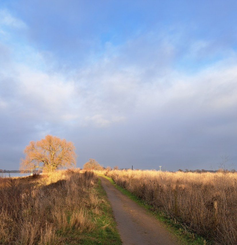 Ooijpolder in winterzon (december 2025)