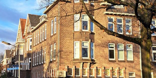 Hoek Bijleveldsingel - Wilhelminasingel, Biijleveldsingel zijde (oktober 2025)