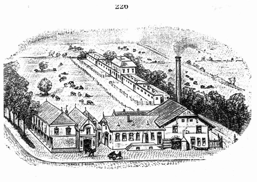 tekening stoomzuivelfabriek van de Nijmeegsche Confederatie, Oude Graafseweg Heseveld 1910-1912 (reproductie uit: Het schependom van Nijmegen 1912, blz. 226 via F78688 RAN tevens Auteursrechthouder)