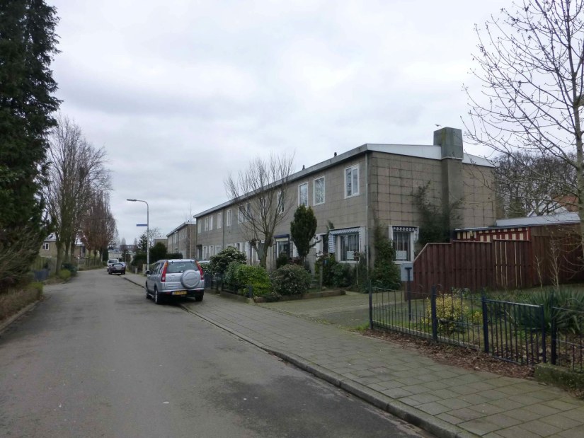 Blik in de Duindoornstraat richting Klimopstraat met links achtereenvolgens de Kornoeljestraat, de Mahoniastraat en de Ligusterstraat in de wijk Jerusalem, 14/2/2020 (Jan Eichelsheim via DF4475 RAN CCBYSA, tevens Auteursrechthouder)