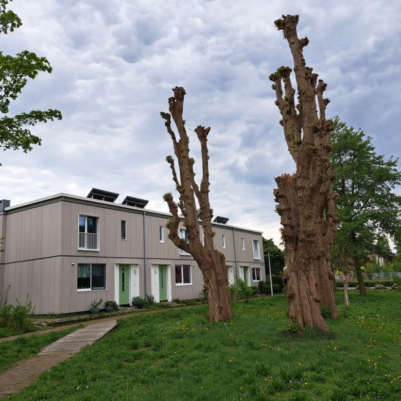 Nieuwbouw Jerusalem (april 2025)