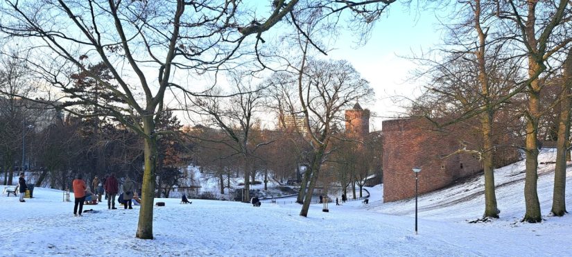 Sleetje rijden in Kronenburgerpark (januari 2026)