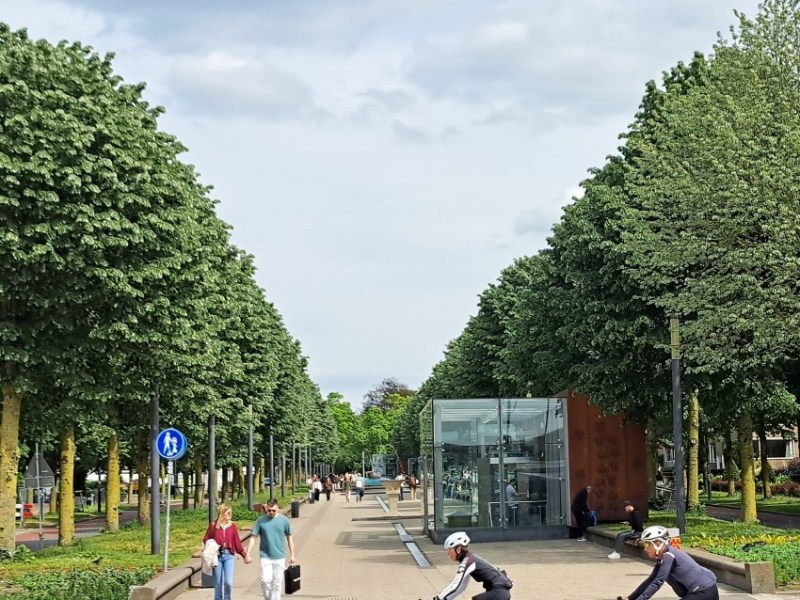 Van Schaeck Mathonsingel