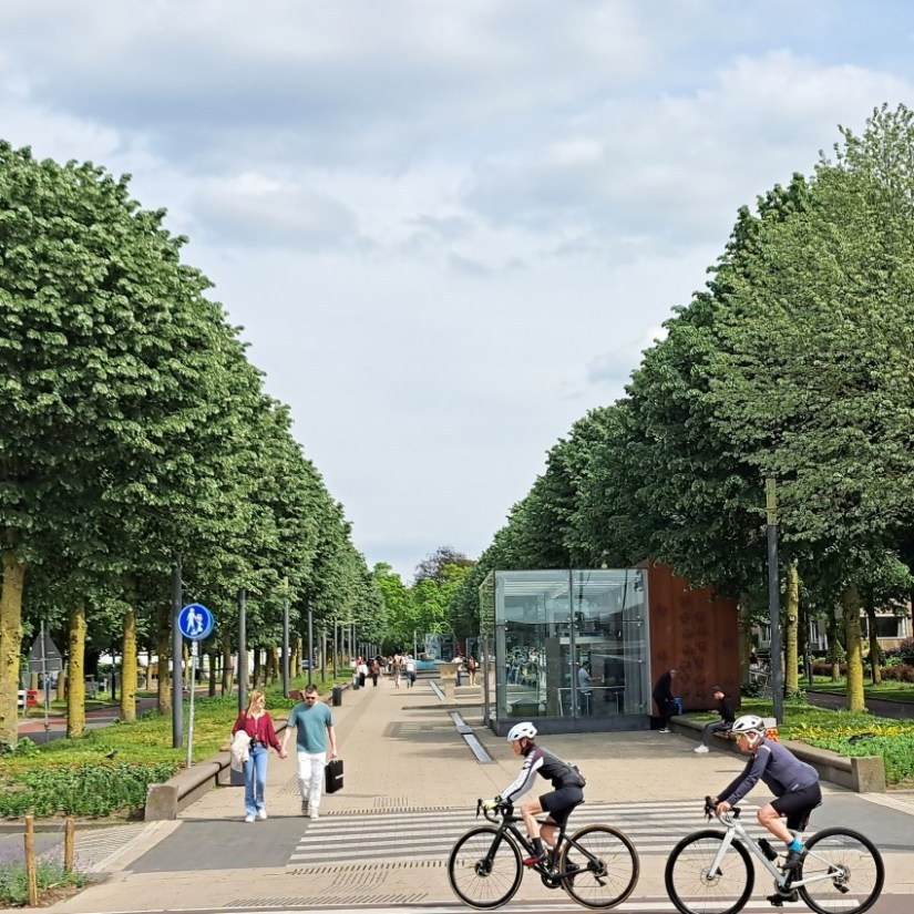 Van Schaeck Mathonsingel (mei 2026)