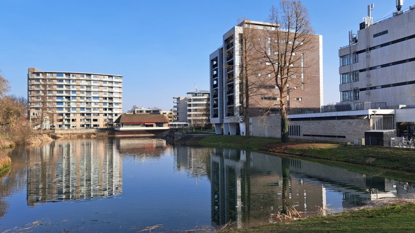 Vijver hoek Archipelstraat Molukkenstraat (maart 2026)