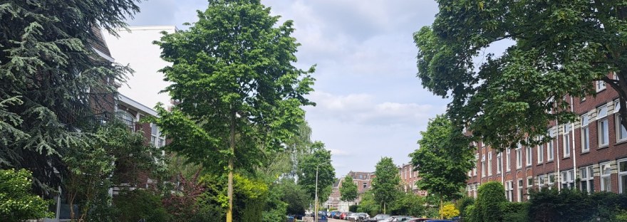 Vondelstraat (mei 2026)