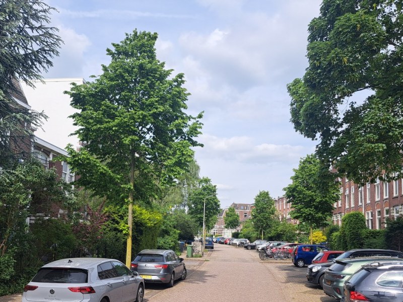 Vondelstraat