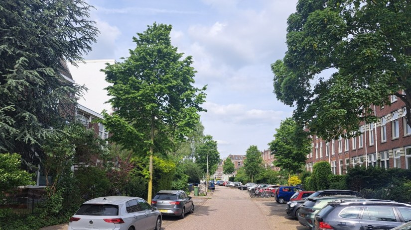 Vondelstraat (mei 2026)